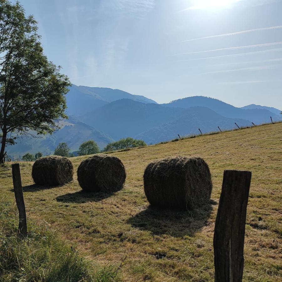 Grand appartement en RDC Vallée de Campan Esterno foto